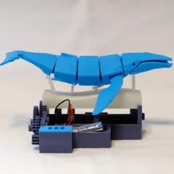 Save the Whales (DC Motor Powered Kinetic Whales)