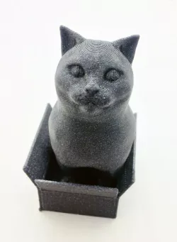 Schrodinky! British Shorthair Cat Sitting In A Box