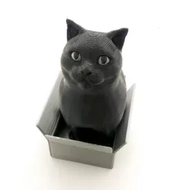 Schrodinky!: dual extrusion version