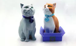 SCHRODINKY! Pinshape Cat Collar medals!!