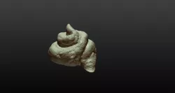 Shit