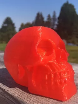 skull