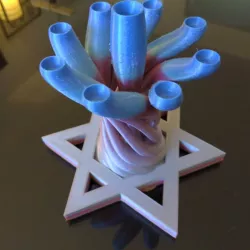 Star of David Menorah