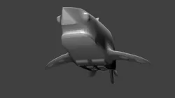 Strong Shark!!!