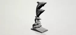 Three dolphin