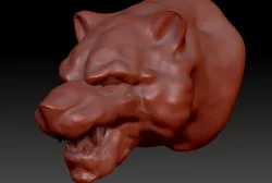 Tigerhead