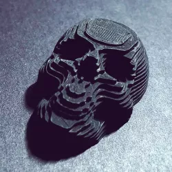 Topographic Skull