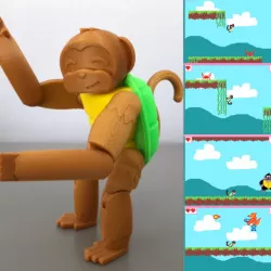 Turtle Monkey