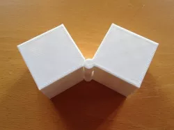 Two Hinged Boxes