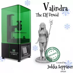 Valindra the Elf Druid