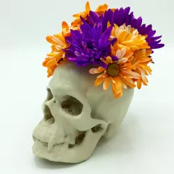 Vampire Skull Planter / Vase