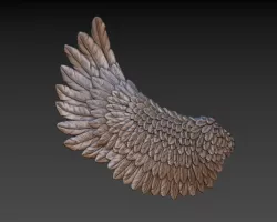 Wings