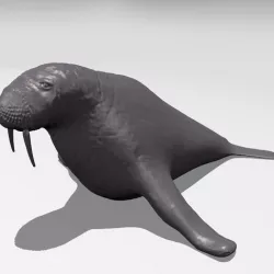 Wlarus