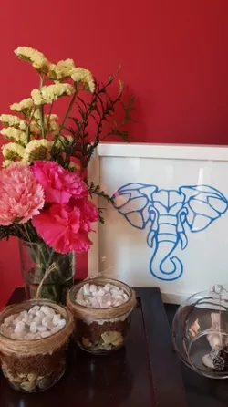 2D elephant face