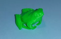 a little frog