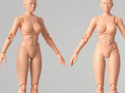 Articulated Poseable Female Figure