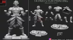Broly version 01 from Broly movie 2019