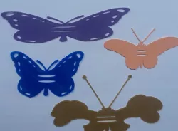 Butterfly Fun