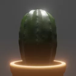 Cactus