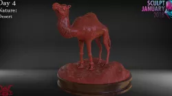 Camel