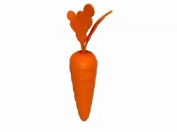 Carrot
