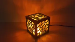 Cell Structure Lamp 2