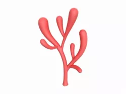 Coral