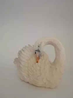 Cygne blanc