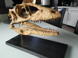 Deinonychus Skull (Part 2/2)