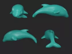 dolphin