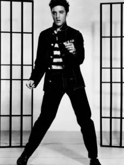 Elvis Presley Jailhouse Rock