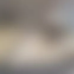 Falcon s 3d Printable Plane