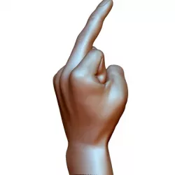 Fuck sign hand male middle finger