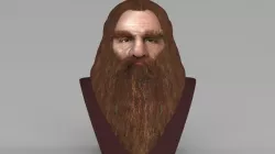 Gimli Lord of the Rings bust full color 3D printing ready