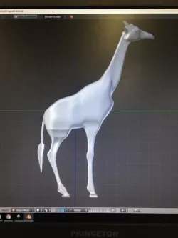Giraffe