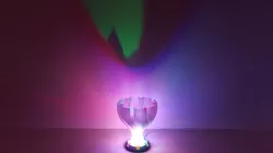 Grail Vase
