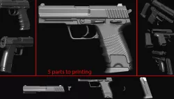 Gun