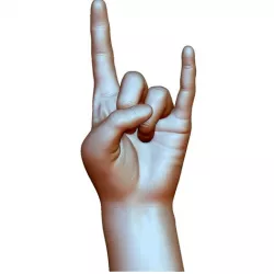 Hard rock hand gesture male
