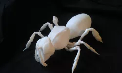 honey bee model.