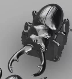 Insect