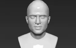Jesse Pinkman Breaking Bad bust 3D printing ready stl obj
