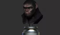 Koba Monkey