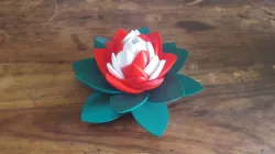 Lotus Puzzle