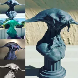 Manta Face 3D Print