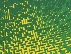 maze 55x55
