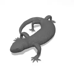 Mexican Beaded Lizard(Heloderma Horridum)