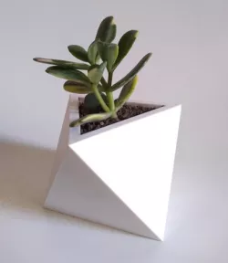Octahedron Planter (Harom Farkas)