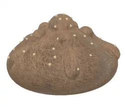 Pan de Muerto