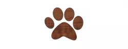 Pumpkin Paw Print/Halloween Decorations/Paw Design/ Animal Lover