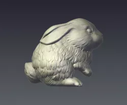 Rabbit